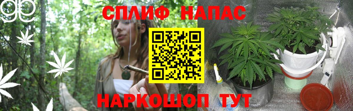 Бошки марихуана MAZAR  Вход с VPN  Раменское  Бошки Шишки LSD WEED 